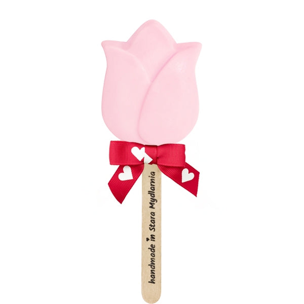 Pink Tulip